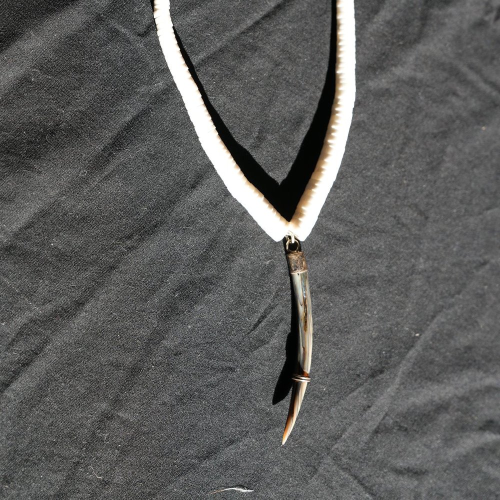 Dragon claw abalone shell necklace